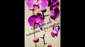 6th Std Lesson no.5 A Chat With A Grasshopper, Full Notes 