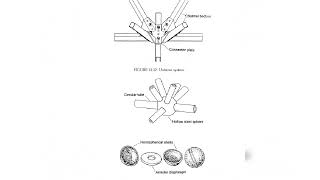 CONNECTOR TYPES USED IN SPACEFRAME STRUCTURE