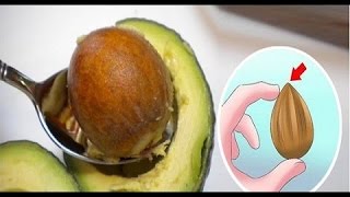 Stop Throwing Away Avocado Seeds: They're Potent Cancer Fighters