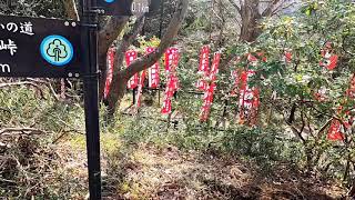 【伊勢原の秘境】日向薬師に行ってみた【林道】