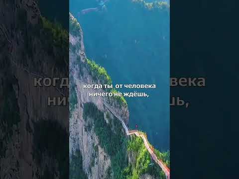 Ты от человека ничего не ждёшь❤️