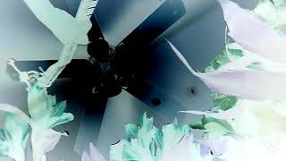 20170721 174250