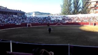 Corrida Rejones Estella -Navarra- P. Hermoso de Mendoza, M. Manzanares y Guillermo Hermoso debut(1)