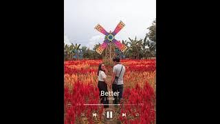 Better by JJ Heller (w/ lyrics)