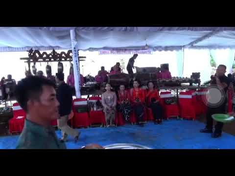 it's a warrior Wito🤣