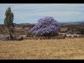 LOS RANCHITOS TLALTENANGO ZACATECAS Eklipse de la Sierra