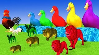 Animals Game Video With Duck, Chicken, Pig, Rabbit, Crocodile, Cute And Funny Animals Cartoon Video