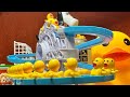 SATISFYING DUCKS PLAYING ON ROLLER COASTER #TRENDING #SATISFYING #ASMR