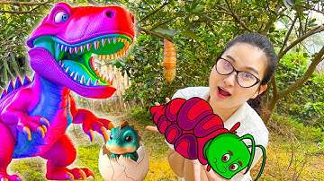 Changcady ra vườn tìm các con vật kì lạ, tìm được trứng khủng long