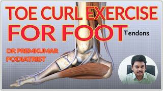 Toe Curl Exercise For Foot, Dr. Premkumar, Podiatrist In Chennai