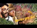 NUOVE SPECIE DI PESCI ABISSALI | Lo Zoo di Dario e Willy (ft. ZooSparkle)