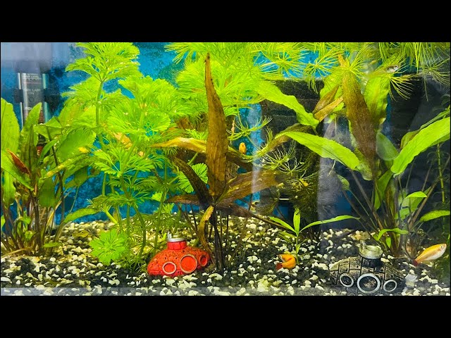 Feeding time