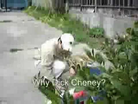 Dick Cheney shoots Whittington (In Spanish w/ Subtitles)