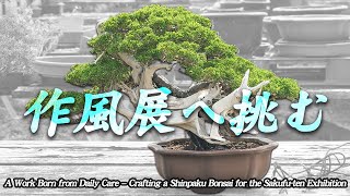 Download Lagu A Work Born from Daily Care – Crafting a Shinpaku Bonsai for the Sakufu-ten Exhibition MP3 Download Lagu A Work Born from Daily Care – Crafting a Shinpaku Bonsai for the Sakufu-ten Exhibition MP3