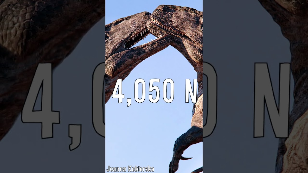 Camarasaurus Bites Were not to be Messed With