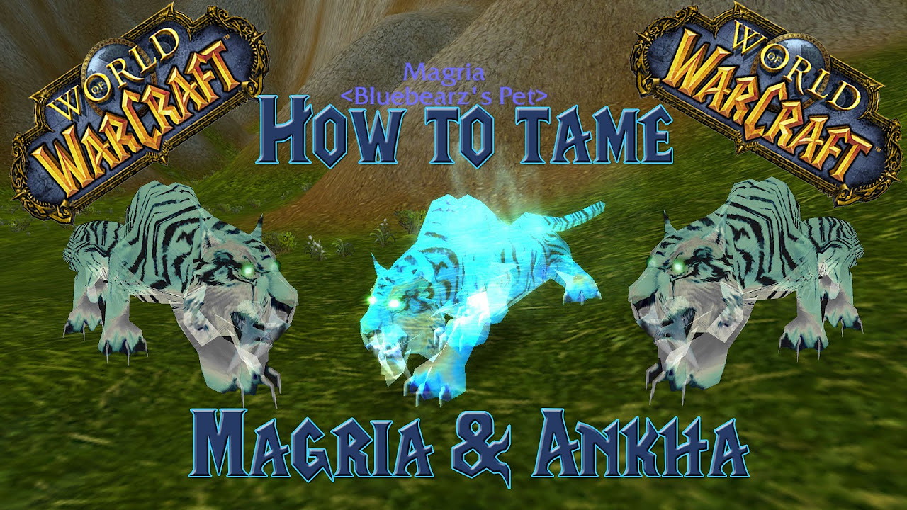 Wow   How to tame MagriaAnkha    Hunter Guide