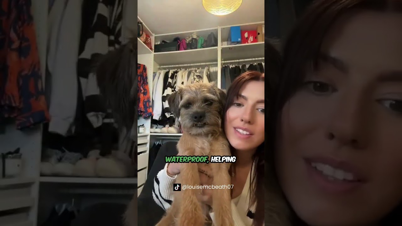 5 Surprising Facts About Border Terriers! 🐕✨ 