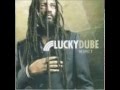 Celebrate Life - Lucky Dube Tribute