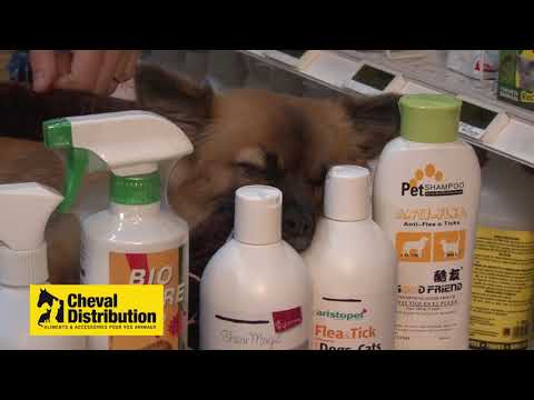 Vidéo: Spray Anti-puces Pour Chats (