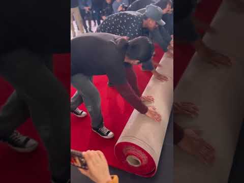 OSCAR | Hollywood desenrolla la alfombra roja de los premios a las puertas del teatro Dolby #shorts