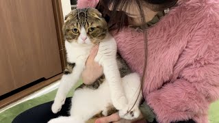 ママ奮闘！パパ猫の爪切り！