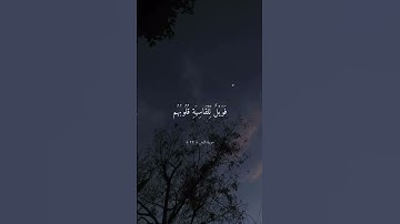 سورة الزمر ( الشيخ ماهر المعيقلي)❤️