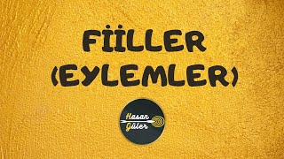 Fi̇i̇ller Eylemler Tyt - Hasan Güler
