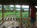 Nippa Hut Rest house Nippa Hut Rest house