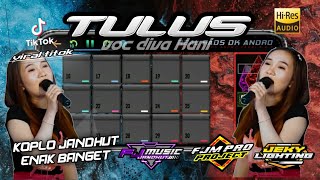 OPO ANANE TOMPONEN(TULUS DIVA HANI) Cover live Fajar Jandhut Music