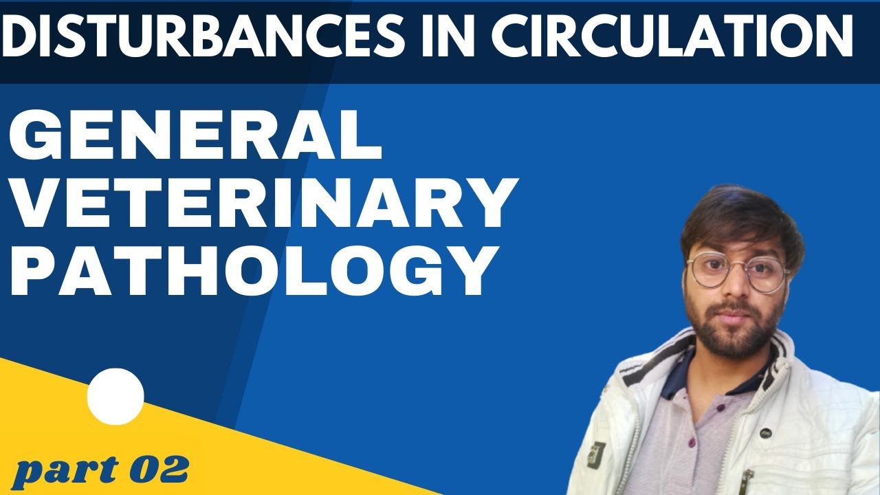 Disturbances in circulation (hemodynamic disorders) part 02 general veterinary pathology 