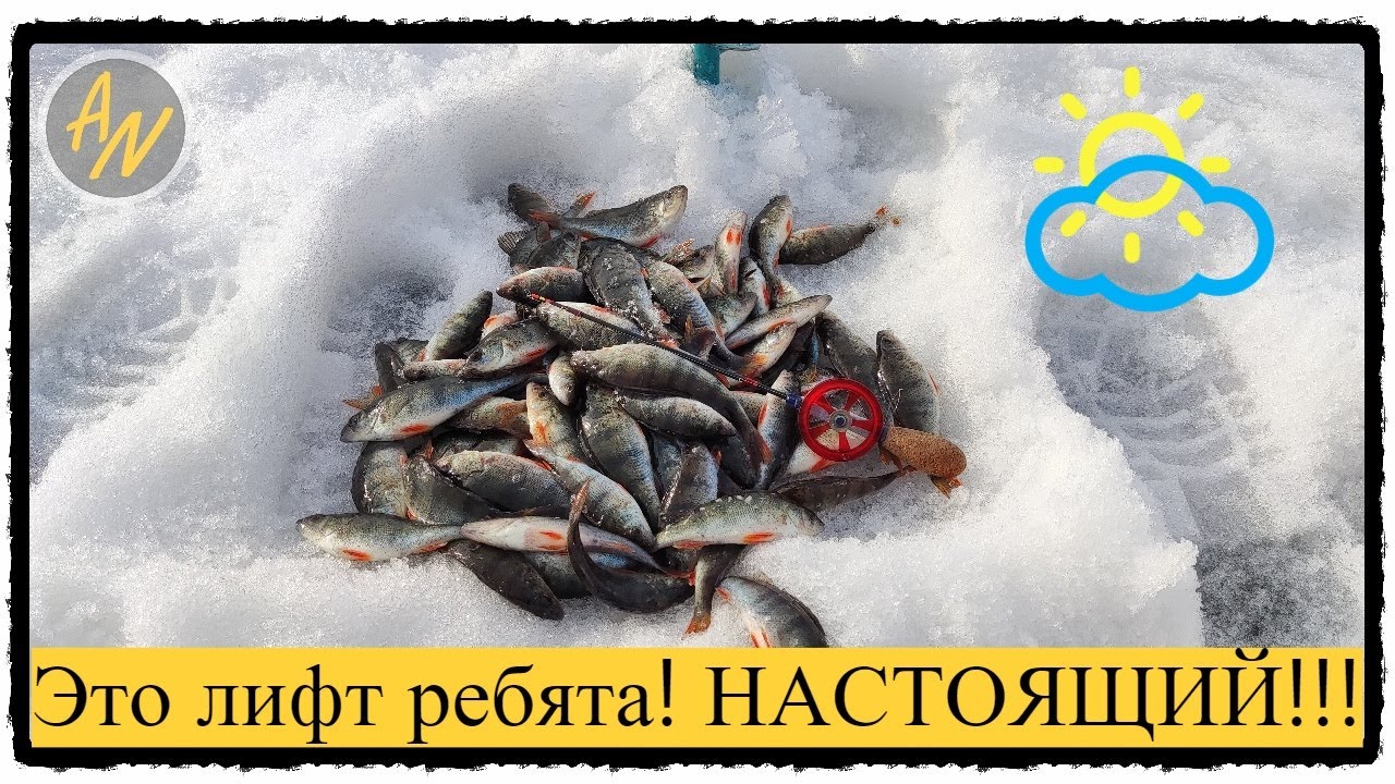 Окунь на волге