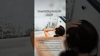 Does Baking Soda Kill Mold? #bakingsoda #mold #killingmold #moldkiller  #cleaninghacks