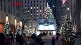 100 Clear Mini Lights - White Wire - Commercial Duty - 42 ft. Stringer