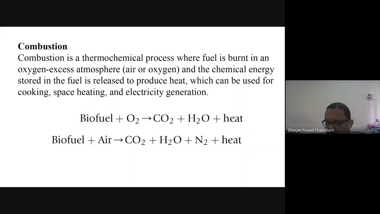 Gasification and Biomass Combustion Device