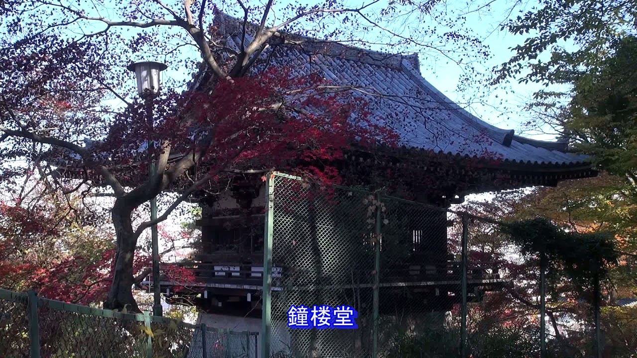 高幡不動と紅葉 Youtube