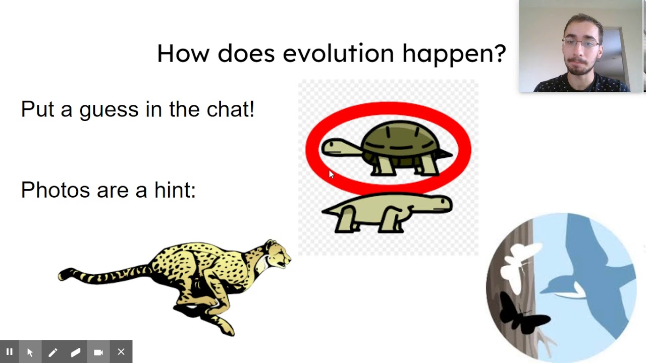 Evolution / Biological Fitness Cornell Notes