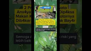 Download Lagu Kehidupan😇 #fyp #gosip #artis #quotes #jangkauan #love #foryou MP3