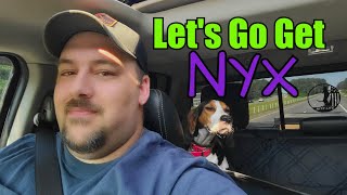 Ride with me to pick up Nyx from Alabama!