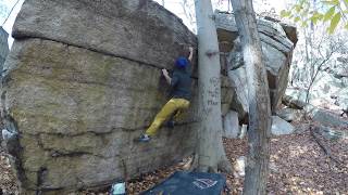 Gunks Bouldering: Peter's Kill: Tree Bola Direct V3* Resimi