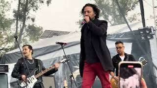 Quisiera Saber - Los Daniels (Festival Tertulia 2024)