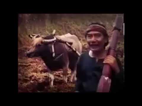 DRAMA TARLING PANTURA BARIDIN FULL