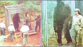 'THEY CAGED BIGFOOT' - Rangers' Terrifying BIGFOOT ENCOUNTER STORY