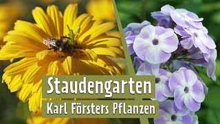 Stauden Mit Tradition - Der Karl Foerster-Garten In Erfurt Mdr Garten