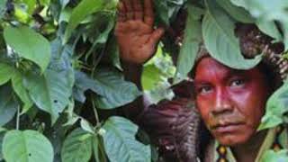 Da Escravidão À Autonomia Em 50 Anos A História De Renascimento Dos Índios Yawanawá