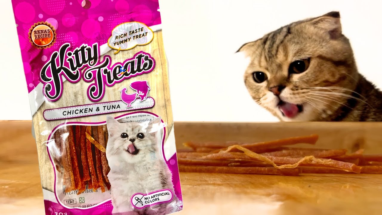 ASMR Unboxing Mukbang Kitty Treats Tuna & Chicken Crunchy Bites With Intense Eating Sounds