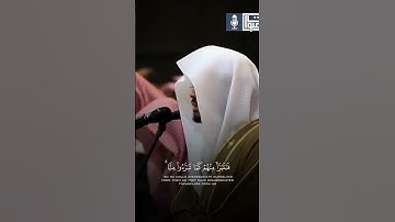 تلاوة خاشعة | الشيخ ياسر الدوسري #قرآن #اكسبلور