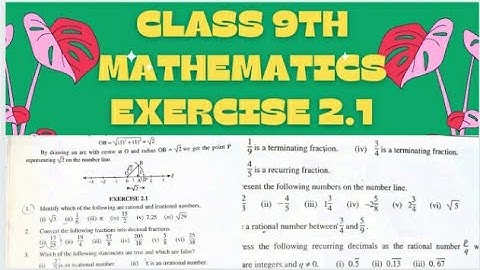 Exercise 2.1 Full// Class 9th// Mathematics // Real and Complex Numbers //Terminating // Number line