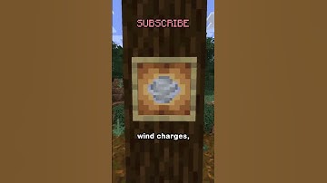 The Wind Charge Launcher.