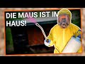 Overnigther Vorbereitung in der Waldhütte nach 7 Jahren | Outdoor | Mäusekot | Biwak