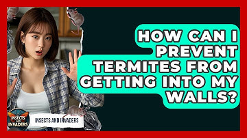 How Can I Prevent Termites From Getting Into My Walls? - Insects and Invaders